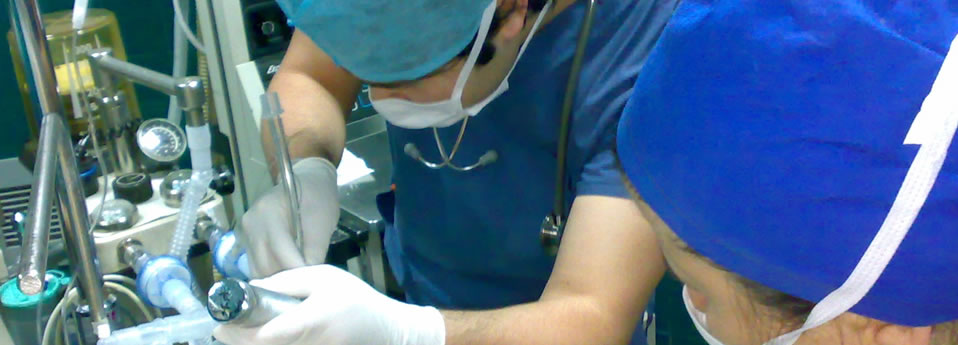 Erhan Uncu